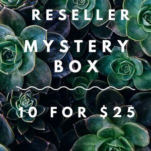 4 left  RESELLER MYSTERY BOX 10 for $25